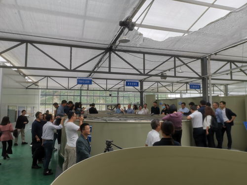 浙江省委党校中青年干部培训班学员赴德清百源康鱼菜工厂考察交流